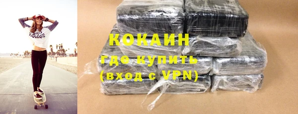 PSILOCYBIN Михайлов