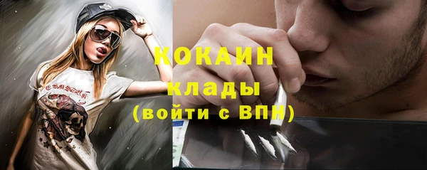 PSILOCYBIN Михайлов