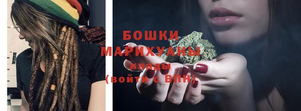 PSILOCYBIN Михайлов