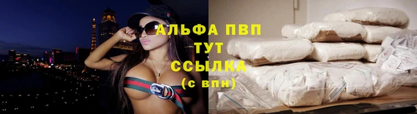 PSILOCYBIN Михайлов