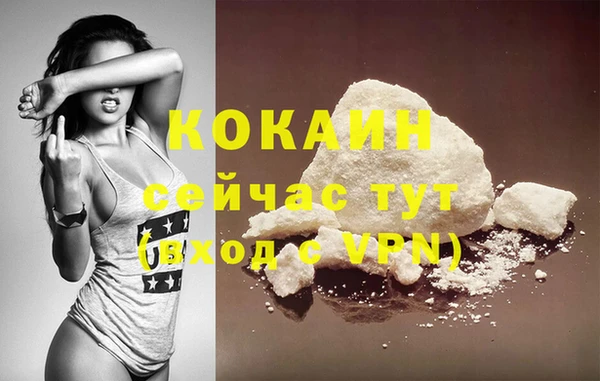 PSILOCYBIN Михайлов