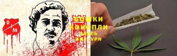 дмт Переславль-Залесский
