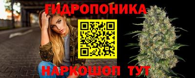 гидра Бийск