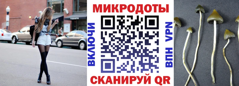даркнет сайт  Рассказово  Галлюциногенные грибы Psilocybe 