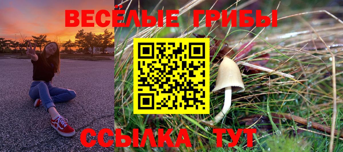 Псилоцибиновые грибы Cubensis Рассказово