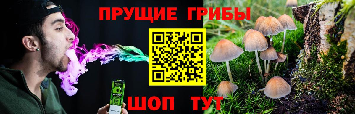 Галлюциногенные грибы мицелий Рассказово