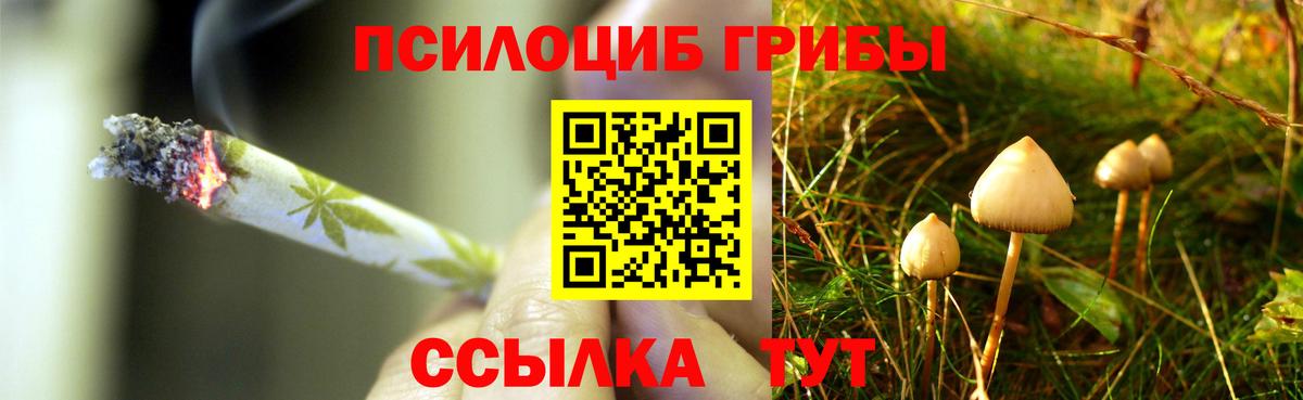 Рассказово  цены   Вход с VPN  Галлюциногенные грибы Psilocybine cubensis 