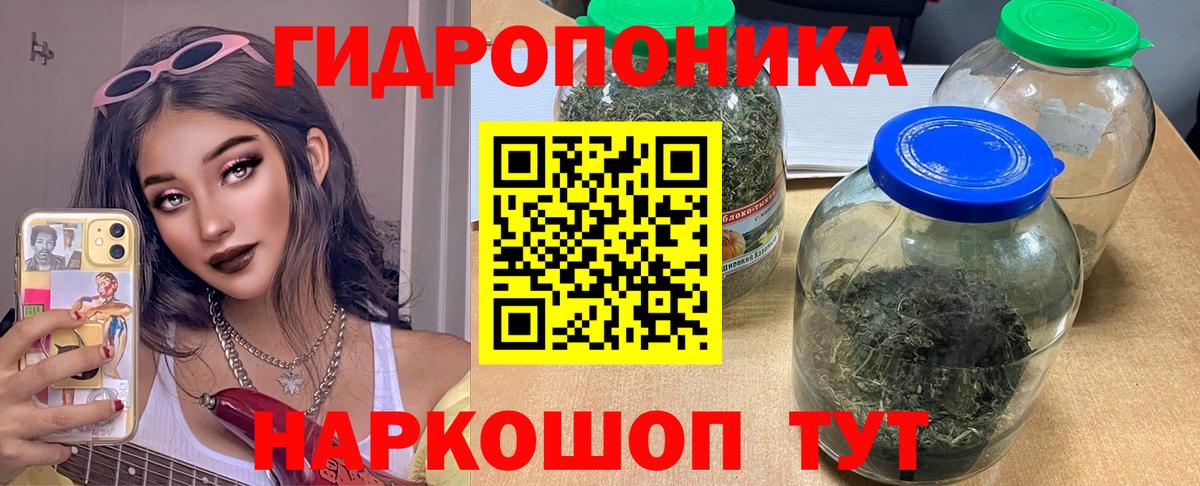 Конопля White Widow Рассказово